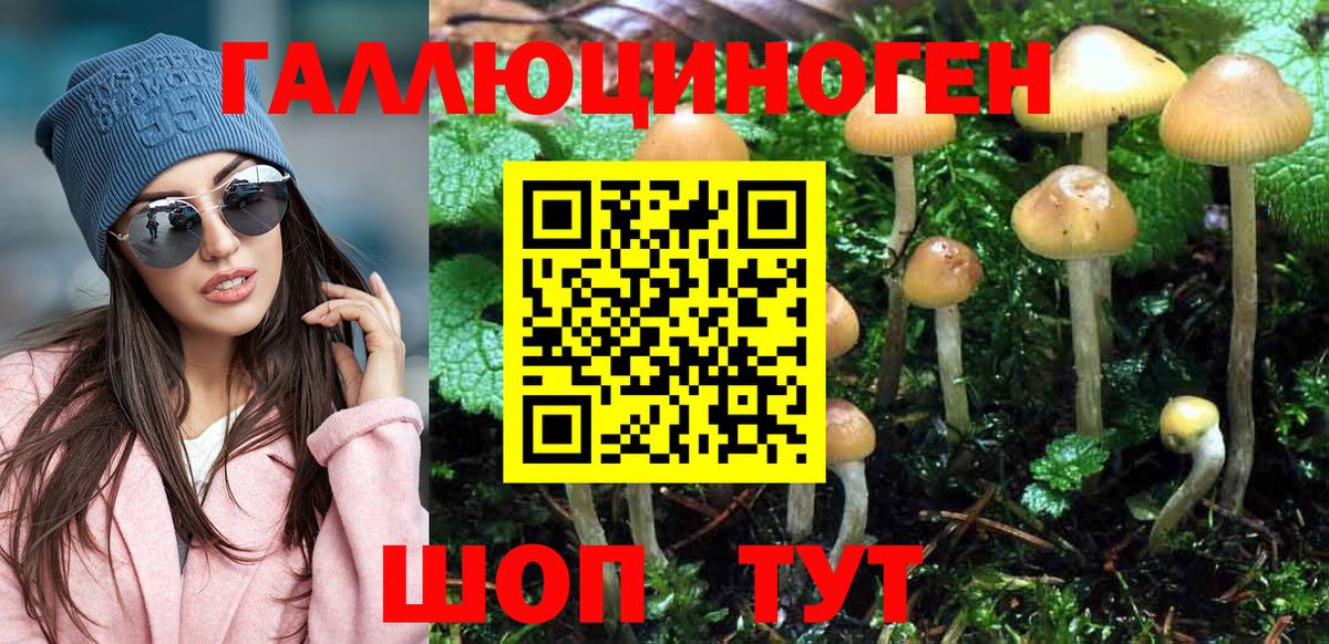 Псилоцибиновые грибы GOLDEN TEACHER Альметьевск