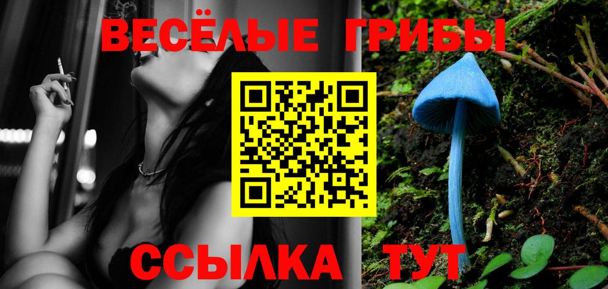 Галлюциногенные грибы Magic Shrooms  Галлюциногенные грибы ЛСД  Вход с VPN  Альметьевск 